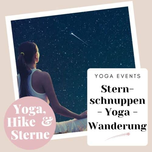 sternschnuppenyoga-yoga-unterm-sternenhimmel-feldberg-2026-1