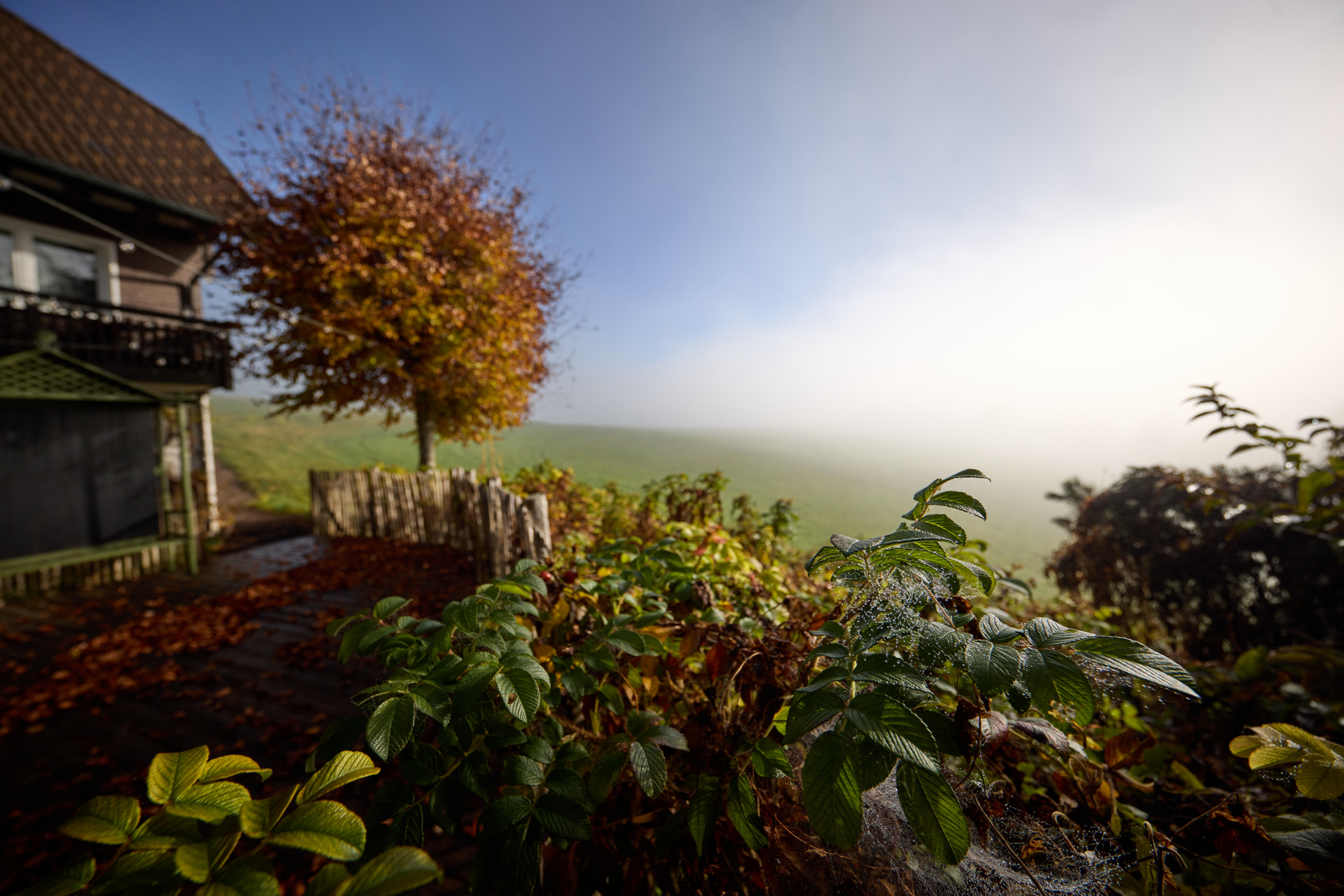 yoga_retreat_flying_mat_yoga_stuub_fotos_hinterzarten_003